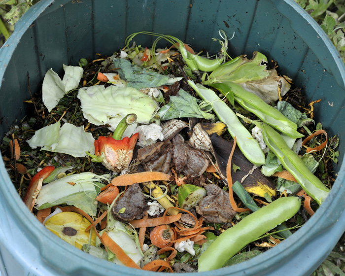 baby steps composting