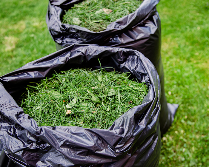 baby steps leaf bag