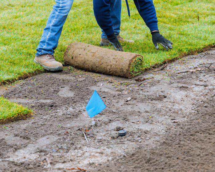 Clear all landscaped areas