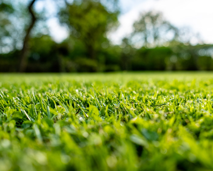 landscaping to prevent soil erosion