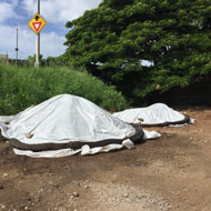 erosion-control-construction