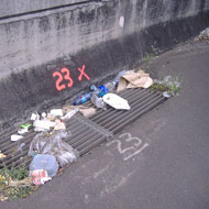 litter-on-highway